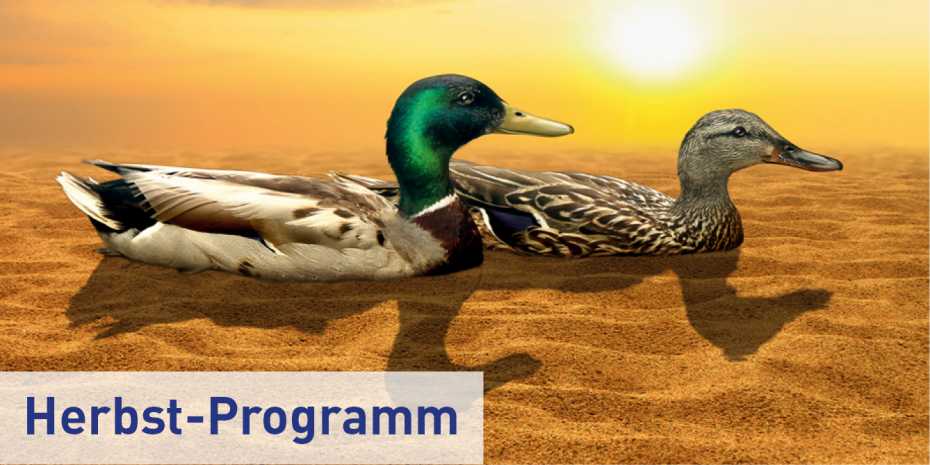Herbstprogramm ETH Treffpunkt Science City