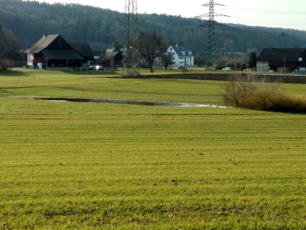 Foto: Blick auf das Grundstück "Seewadel" hinter dem ASZD (Grüne Dübendorf)
