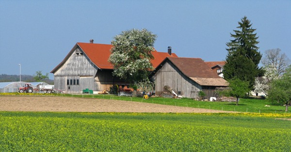 Foto: Ein Bauernhof bei Hermikon (Roland zh, Wikimedia commons, CC BY-SA 3.0)