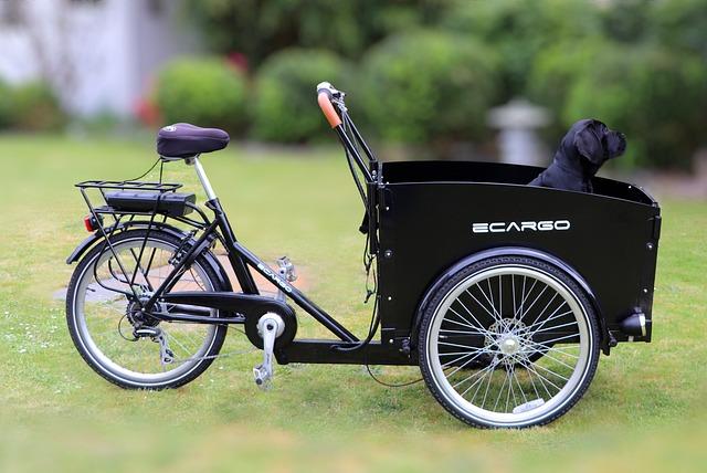 Foto: Ein Lastenvelo (cely_, pixabay)