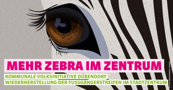 Mehr Zebra im Zentrum - Kommunale Volksinitiative Dübendorf "Wiederherstellung der Fussgängerstreifen im Stadtzentrum" (Bild: Biancavandijk, pixabay)