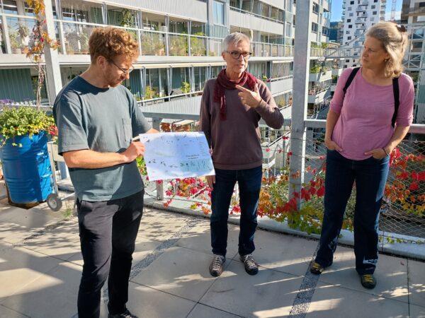 Von links nach rechts: Vivian Hauss, Tom Hegi und Flavia Sutter auf der Dachterrasse der Siedlung Westhof (Foto: David Siems, zvg)