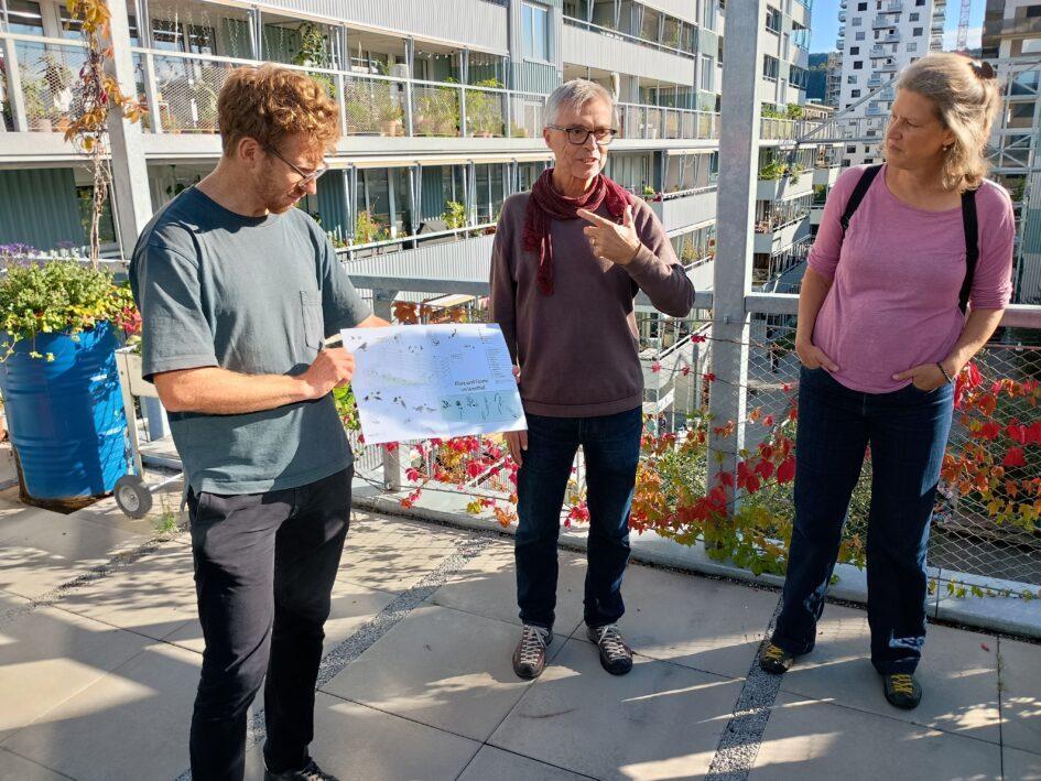 Von links nach rechts: Vivian Hauss, Tom Hegi und Flavia Sutter auf der Dachterrasse der Siedlung Westhof (Foto: David Siems, zvg)