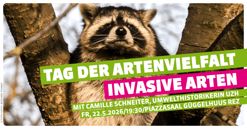 Tag der Artenvielfalt 2026: Invasive Arten. Foto: Kathy_Büscher, pixabay
