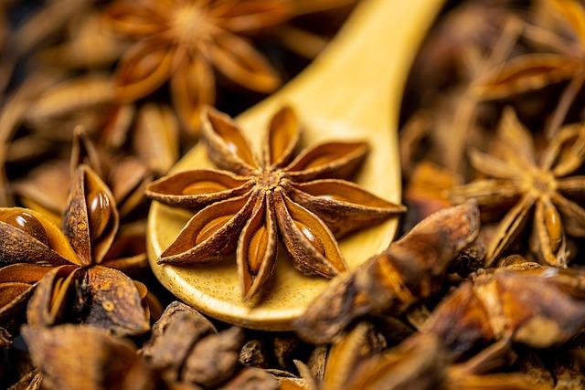 Symbolbild Weihnachtsevent: Sternanis auf einem Holzlöffel (Kai Reschke, pixabay)